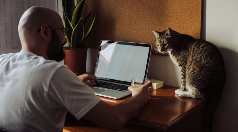Um homem trabalhando com foco e consistência em projetos pessoais